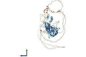 Protein Structure (PS) image for Synaptotagmin-Like 5 (SYTL5) (AA 1-753) protein (His tag) (ABIN7558313)