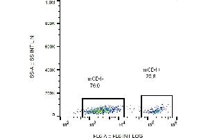 Flow cytometry analysis (surface staining) of CD4 in murine splenocytes with anti-CD4 (GK1. (CD4 antibody)