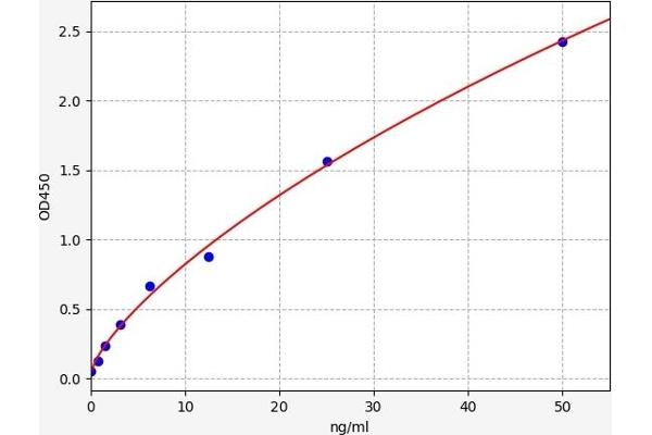 LRP2 ELISA Kit