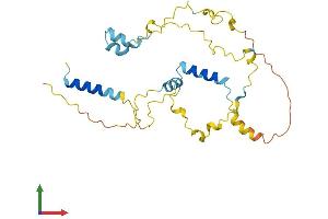 Protein Structure (PS) image for Myozenin 2 (MYOZ2) (AA 1-264) protein (His tag) (ABIN7561612)