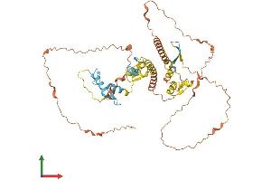 Protein Structure (PS) image for IKAROS Family Zinc Finger 3 (Aiolos) (IKZF3) (AA 1-507) protein (His tag) (ABIN7562220)