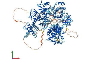 Protein Structure (PS) image for Tyrosine Kinase 2 (TYK2) (AA 1-1187) protein (His tag) (ABIN7555916)