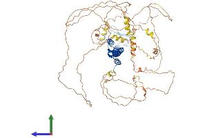 Protein Structure (PS) image for Nuclear Factor (erythroid-Derived 2)-Like 3 (NFE2L3) (AA 1-694) protein (His tag) (ABIN7549786)