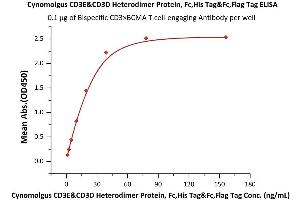 Immobilized Bispecific CD3xBCMA T cing Antibody at 1 μg/mL (100 μL/well) can bind Cynomolgus CD3E&CD3D Heterodimer Protein, Fc,His Tag&Fc,Flag Tag (ABIN6972997) with a linear range of 1-20 ng/mL (QC tested).