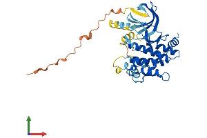 AlphaFold protein structure predicition of Human Recombinant MAP2K6 Protein, UniprotID P52564 (MAP2K6 Protein (AA 1-334) (His tag))