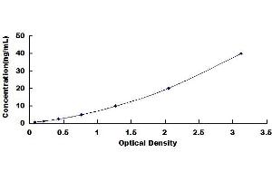 Typical standard curve (C1q ELISA Kit)