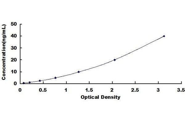 C1q ELISA Kit