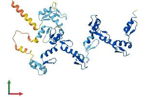 Protein Structure (PS) image for Zinc Finger Protein 260 (ZNF260) (AA 1-412) protein (His tag) (ABIN7545541)