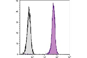 BALB/c mouse splenocytes were stained with Rat Anti-Mouse CD45-UNLB. (Mouse anti-Rat IgG2b Antibody (FITC))