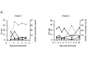 (A) Time course detection of HMGB1 and IgG against anti-HMGB1 (black triangle), anti-HMGB2 (black square) and anti-EBNA1 (black circle) on sequential plasma from patients 1 and 2. (Rabbit anti-Human IgG (Heavy & Light Chain) Antibody (HRP))