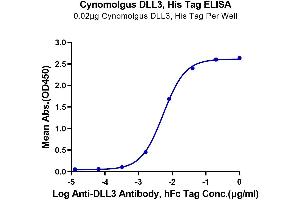 Immobilized Cynomolgus DLL3, His Tag at 0. (DLL3 Protein (AA 27-477) (His tag))