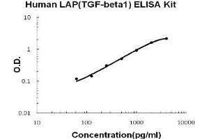 Human LAP(TGF-beta1) PicoKine ELISA Kit standard curve (TGFB1 ELISA Kit)
