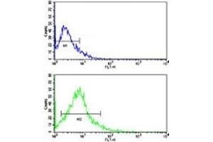 Flow cytometric analysis of HL-60 cells using ACE2 antibody (green) compared to a negative control (blue). (ACE2 antibody  (AA 140-172))