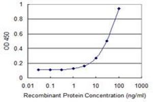 Detection limit for recombinant GST tagged CAMK1G is 1 ng/ml as a capture antibody. (CAMK1G antibody  (AA 1-476))