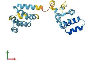 AlphaFold protein structure predicition of Mouse Recombinant Cradd Protein, UniprotID O88843