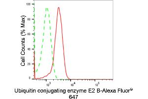 Flow cytometric analysis of Ubiquitin conjugating enzyme E2 B expression in HepG2 cells using Ubiquitin conjugating enzyme E2 B antibody (ABIN7800740), 1:2,000). (Recombinant UBE2B antibody)