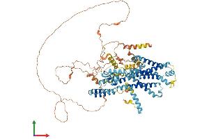 AlphaFold protein structure predicition of Human Recombinant PHTF2 Protein, UniprotID Q8N3S3