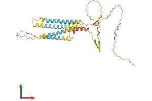 AlphaFold protein structure predicition of Human Recombinant TMEM171 Protein, UniprotID Q8WVE6 (TMEM171 Protein (AA 1-324) (His tag))