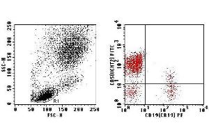 Flow Cytometry (FACS) image for anti-CD2/CD19 (CD2/CD19) antibody (FITC,PE) (ABIN2144434) (CD2/CD19 antibody  (FITC,PE))