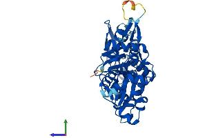 AlphaFold protein structure predicition of Human Recombinant ACTRT3 Protein, UniprotID Q9BYD9 (ARPM1 Protein (AA 1-372) (His tag))