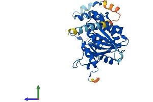 AlphaFold protein structure predicition of Mouse Recombinant B3gnt4 Protein, UniprotID Q1RLK6 (B3GNT4 Protein (AA 1-350) (His tag))