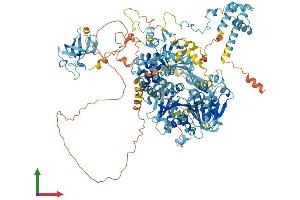 AlphaFold protein structure predicition of Human Recombinant DHX8 Protein, UniprotID Q14562 (DHX8 Protein (AA 1-1220) (His tag))
