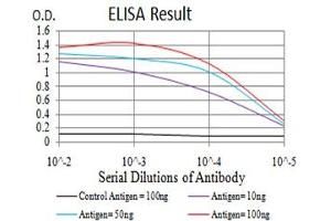 Black line: Control Antigen (100 ng),Purple line: Antigen (10 ng), Blue line: Antigen (50 ng), Red line:Antigen (100 ng) (PRDM14 antibody  (AA 4-203))