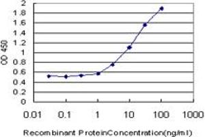 Detection limit for recombinant GST tagged LRG1 is approximately 0. (LRG1 antibody  (AA 37-347))