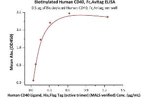 Immobilized Biotinylated Human CD40, Fc,Avitag (ABIN5674593,ABIN6253701) at 5 μg/mL (100 μL/well) on Streptavidin  precoated (0.