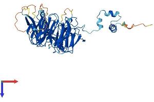 Integrin alpha FG-GAP Repeat Containing 2 (ITFG2) (AA 1-447) protein (His tag)