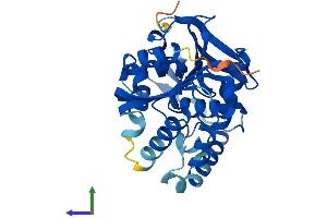 AlphaFold protein structure predicition of Human Recombinant SERHL2 Protein, UniprotID Q9H4I8