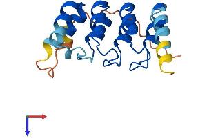 Ankyrin Repeat Domain 20 Family, Member A5, Pseudogene (ANKRD20A5P) (AA 1-165) protein (His tag)