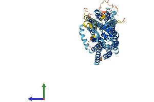 AlphaFold protein structure predicition of Human Recombinant SLCO2A1 Protein, UniprotID Q92959