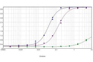 ELISA results of purified Rabbit Anti-Mouse IgG F(ab')2 Biotin Conjugated Antibody tested against purified Mouse IgG F(ab')2.