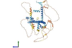 Protein Structure (PS) image for Nuclear Factor (erythroid-Derived 2)-Like 2 (NFE2L2) (AA 1-597) protein (His tag) (ABIN7557618)