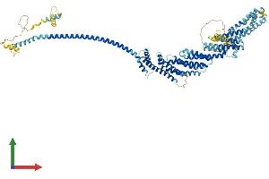 AlphaFold protein structure predicition of Mouse Recombinant Cog3 Protein, UniprotID Q8CI04 (COG3 Protein (AA 1-820) (His tag))