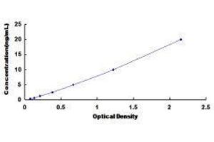 Glycine N-Methyltransferase (GNMT) ELISA Kit