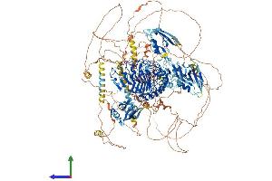 Protein Structure (PS) image for Scribbled Homolog (SCRIB) (AA 1-1612) protein (His tag) (ABIN7564257)
