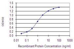 Detection limit for recombinant GST tagged WDHD1 is 0. (WDHD1 antibody  (AA 1031-1128))