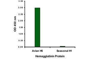 ELISA analysis of Influenza A virus hemagglutinin HA1 protein with 2 ug/mL Influenza A virus hemagglutinin HA1 monoclonal antibody, clone 4E10C10 . (Hemagglutinin antibody  (AA 17-338))