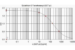 ELISA standard curve showing measurement of GST-pi in a competitive immunoassay using ABIN110088. (GSTP1 antibody)