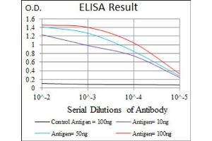 Red: Control Antigen (100ng) ; Purple: Antigen (10ng) ; Green: Antigen (50ng) ; Blue: Antigen (100ng). (ALPL antibody)