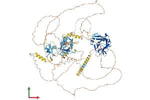 AlphaFold protein structure predicition of Mouse Recombinant Ncoa7 Protein, UniprotID Q6DFV7