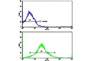 Flow cytometric analysis of K-562 cells using MMP19 polyclonal antibody (bottom histogram) compared to a negative control cell (top histogram).