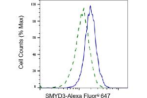 Validation of SMYD3 knockdown using flow cytometry. (Recombinant SMYD3 antibody)