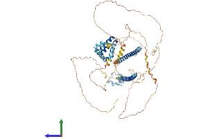 AlphaFold protein structure predicition of Human Recombinant CBFA2T3 Protein, UniprotID O75081