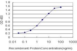 Detection limit for recombinant GST tagged KYNU is approximately 0. (KYNU antibody  (AA 2-108))