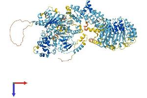 NAIP Protein (AA 1-1403) (His tag)