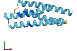 AlphaFold protein structure predicition of Mouse Recombinant Tmem80 Protein, UniprotID Q9D3H0 (TMEM80 Protein (AA 1-123) (His tag))