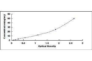 Typical standard curve (Flotillin 1 ELISA Kit)